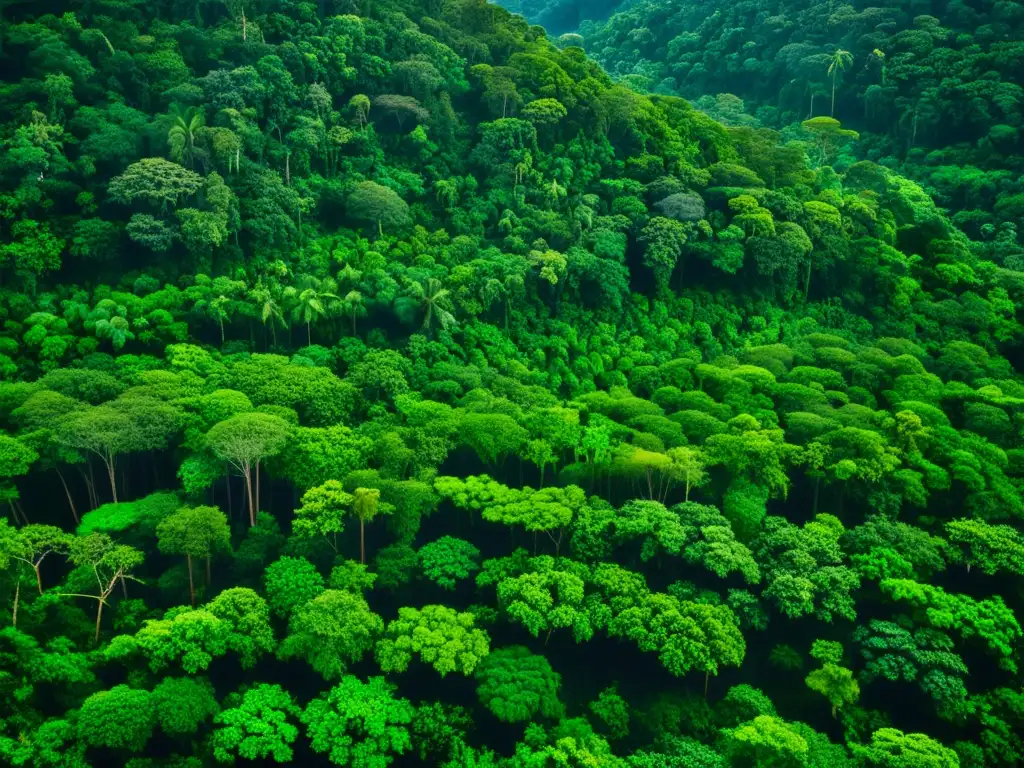 Vista aérea de exuberante selva tropical con río serpenteante